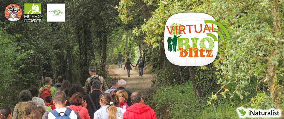 Virtual BioBlitz